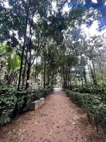 Familystay by Bilwa estate Jammanahalli Saklespur - Image 2
