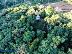 Paraíso da Harmonia - Image 5