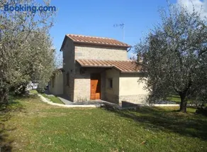 Selva degli Ulivi - Image 1