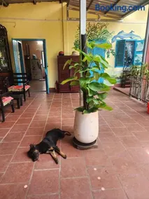 Orchid Garden Farmstay Cần Thơ -Self Check in - Image 1