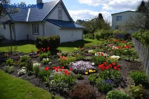 Luha Private House - Image 4
