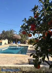 Rustico Appartment 'Olta' in finca, see-and garden side - Image 3