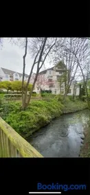Appartement cosy au bord des quais ! - Image 1