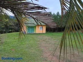 Casa das Palmeiras - Image 3