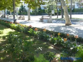 Park Sétány Apartman - Image 4