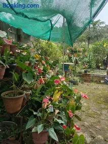 Kordi Estate Stay - Image 3