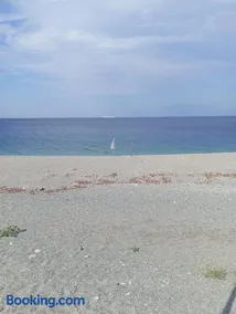 La conchiglia - Image 1
