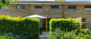 Buddleia - Image 1