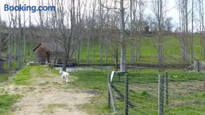 Cabane au bord d'un étang - Image 3