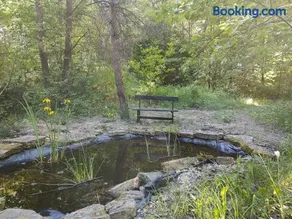 Domek w lesie - Image 2
