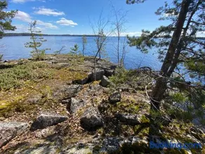 Lammassaari - Image 1