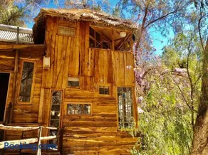 La Casa entre los Árboles en el Valle de Elqui Montegrande - Image 5