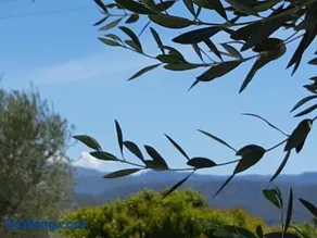 La Marie Blanche - Image 2