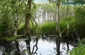 Bosvilla Berk met een Jacuzzi - Image 4