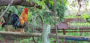 Hollybrooke Adventure Farm - Image 2