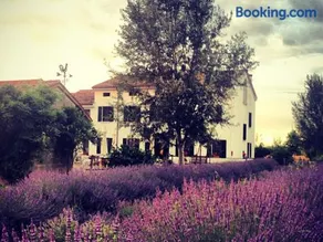 Agriturismo Viridarium - Image 1