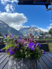 Ahorn Chalet Mittelberg - Image 4