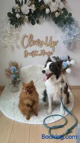 犬と泊まれる宿 Clear Up Guest House ペット可 - Image 1