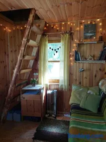 Saia Forest House - Image 4