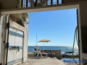 Il Pettirosso - Image 3