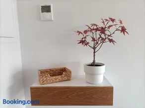 Precioso Apartamento Nuevo Céntrico en Santander - Image 5