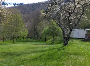 Flower Camping Le Pont du Tarn - Image 5
