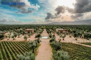 Hábimo - Valle de Guadalupe - Image 4