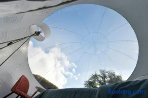 Bulle Ecureuil - Image 2