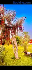 Domaine JJ Marrakech - Image 4