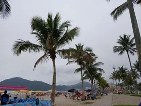 Casa na praia Pé na areia - Image 2