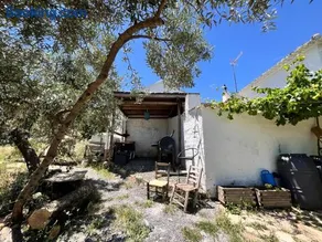 GP Cortijo Palmera - Image 4