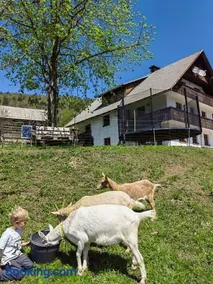 Turistična kmetija Pri Andreju - Image 2