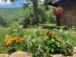 apartman Mara - Image 5