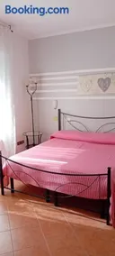 B&B Anny - Image 2