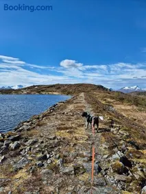 Sentral leilegheit i Ørsta - Image 2