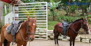 Glamping Eco Azulejo - Image 2