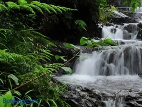 Green Pearl Homestay - Image 1