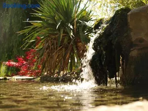 jardin d'antan - Image 3