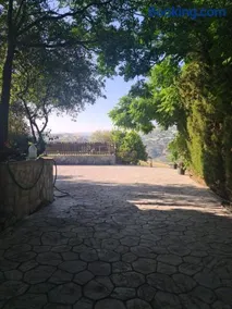 La casita encantada - Image 4