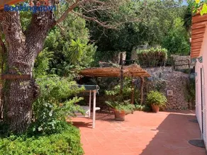Casa Blu - Image 4