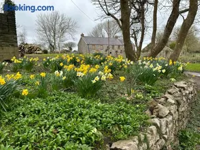 Hael Farm Cottage - Image 2