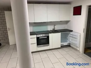 Basel - 5 mins away - Modern Basement Studio with Kitchen 35m2 in Muttenz - Image 5