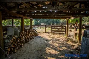 Historic Farmhouse on 5 Peaceful Acres with Ancient Oaks & Creek above Temecula - Image 3
