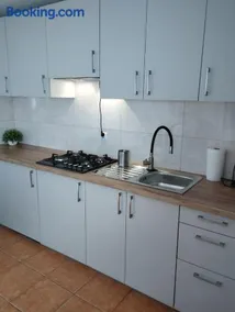 Domki pod brzózkami - Image 1