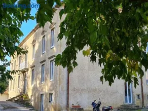 Les cèdres - Image 1