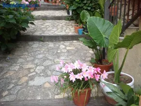 Apartamentos Anateresa - Image 1