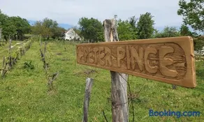 Traditional cottage at Lake Balaton - Image 2