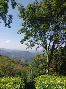 Beragala Estate and Resort - Image 3
