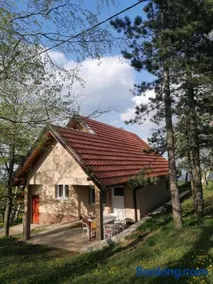 SIMIĆ planinska kuća - Image 2