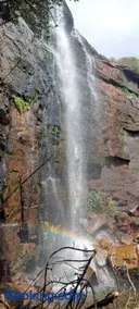 Heeloya mount view garden - Image 3
